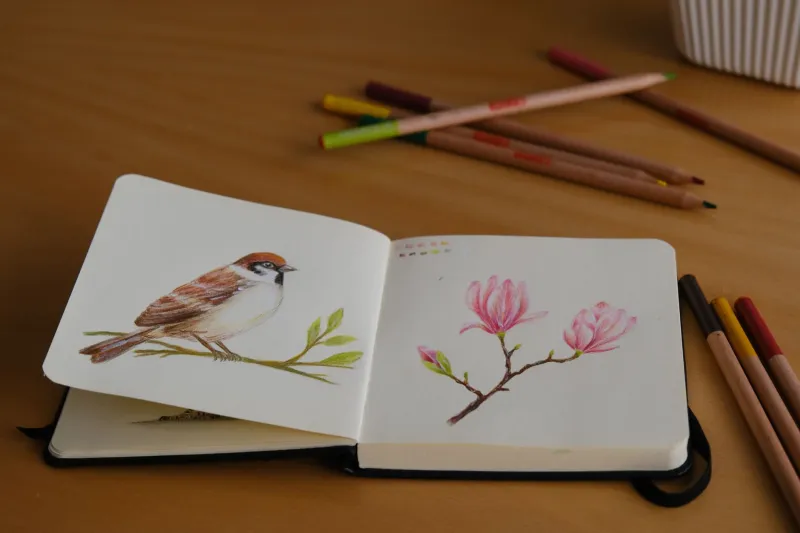 One Year, Real Skills: What a $350 Art Budget Actually Gets You